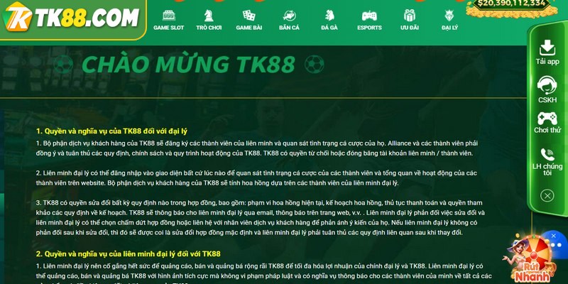 Trước khi đăng ký đại lý bạn cần nắm vững các điều khoản quan trọng