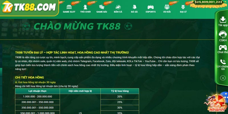 Đại lý được cấp quyền sử dụng hình ảnh thương hiệu TK88